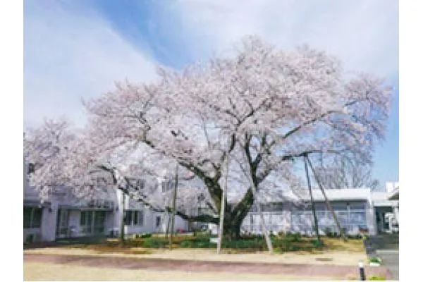 社会福祉法人　東京玉葉会　青陽園・東京都・介護職・