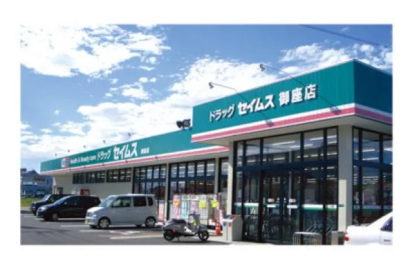 株式会社 西日本セイムス ドラッグセイムス・高知県・薬剤師・