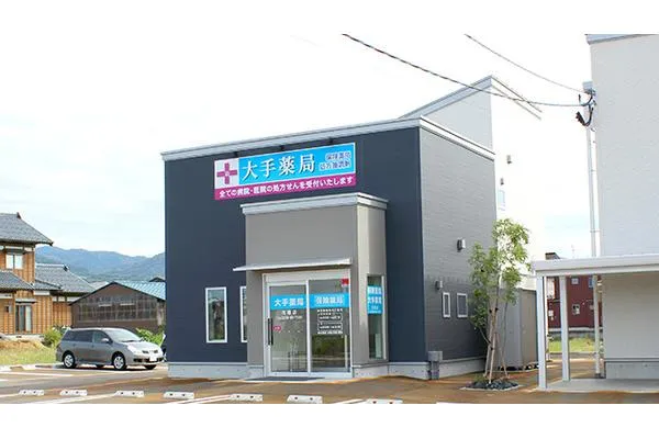 大手薬局花園店・新潟県・薬剤師・