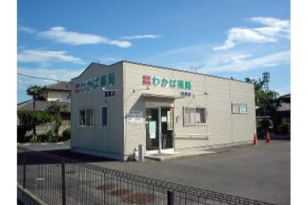 株式会社　サンシン・栃木県・薬剤師・
