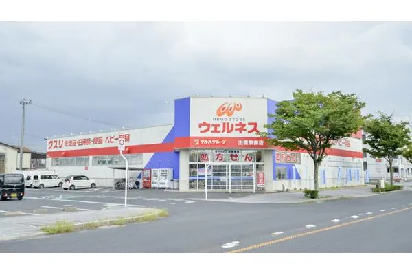 ウェルネス薬局　出雲駅南店・島根県・薬剤師・