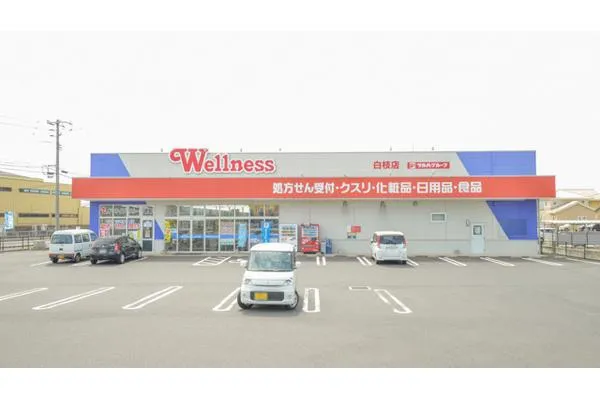 ウェルネス薬局　白枝店・島根県・薬剤師・