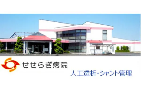 医療法人　恵泉会　せせらぎ病院・群馬県・薬剤師・