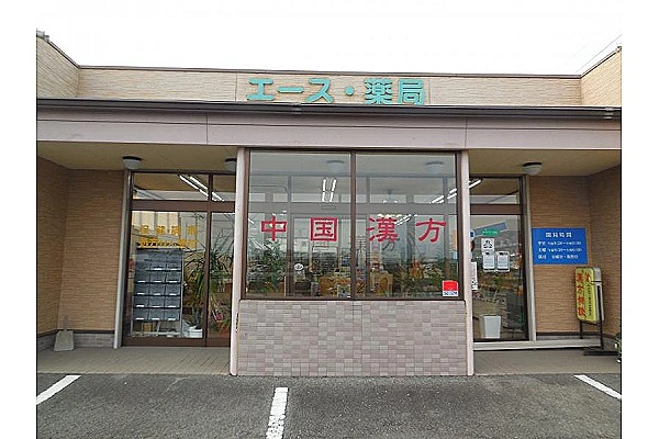 有限会社　エース・薬局・熊本県・薬剤師・