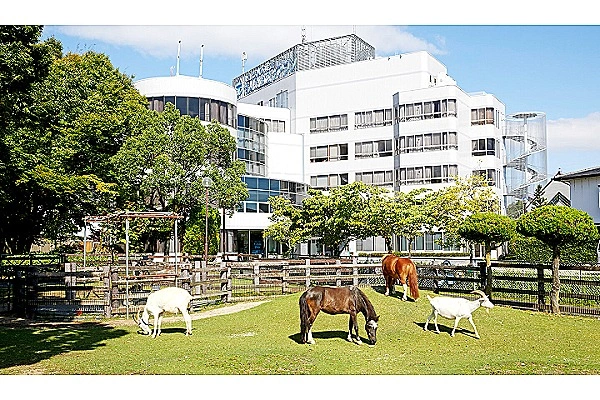 老人保健施設　アウン・愛知県・看護師・