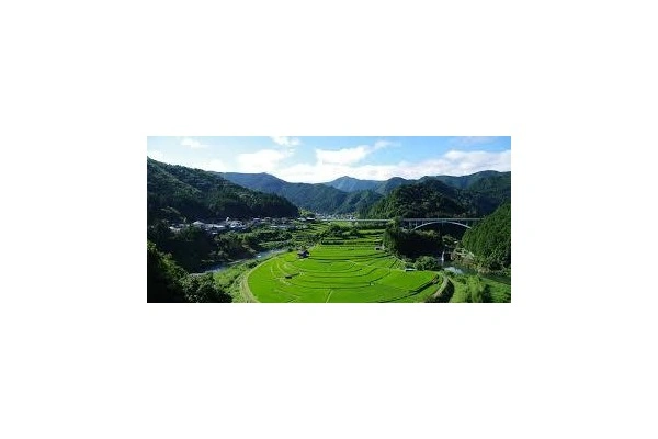 医療法人　優心・和歌山県・理学療法士・