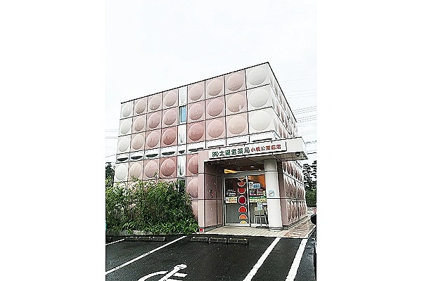 太陽堂薬局　小楠公園前店・熊本県・薬剤師・