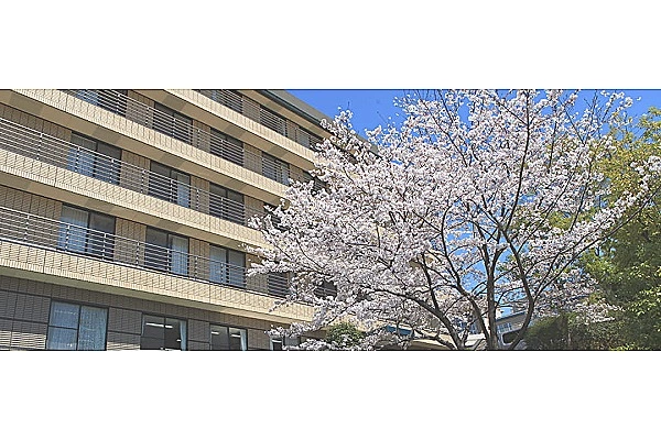 医療法人社団　鶴川さくら会・東京都・理学療法士・