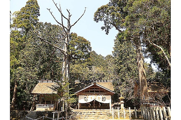 社会福祉法人　五十鈴会・京都府・介護職・