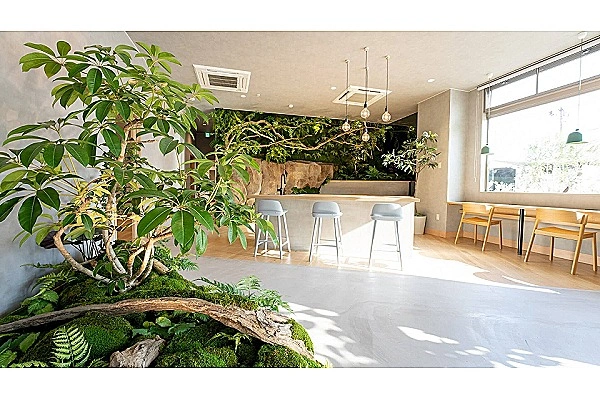 一般社団法人　悠愛・大分県・歯科医師・