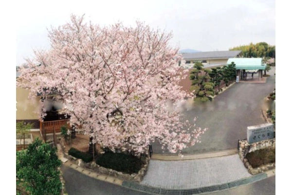 社会福祉法人　玉寿会　特別養護老人ホーム　さくら苑・熊本県・看護師・