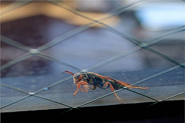 はちさん薬局　新池店・岐阜県・薬剤師・
