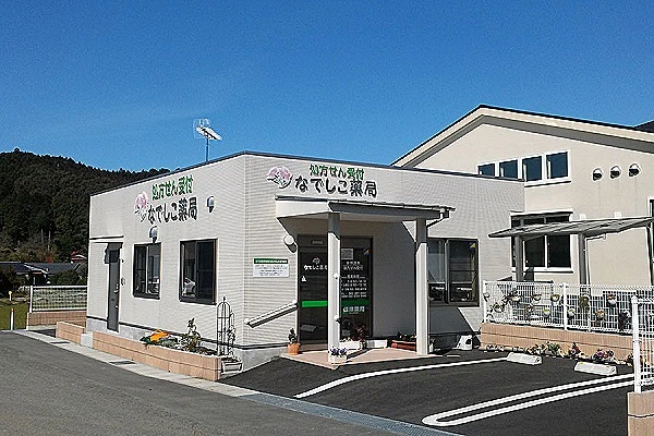 フラワーブロスＴＭＳ株式会社・山口県・薬剤師・