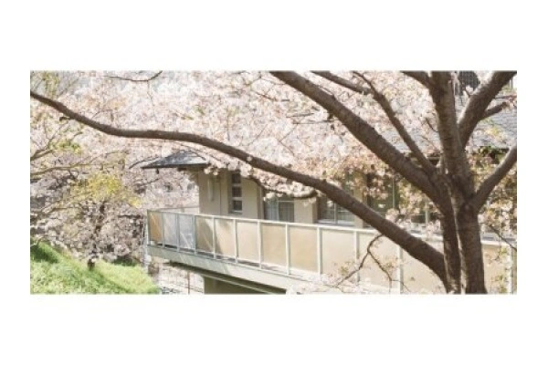 社会福祉法人ぶどうの枝福祉会・兵庫県・看護師・