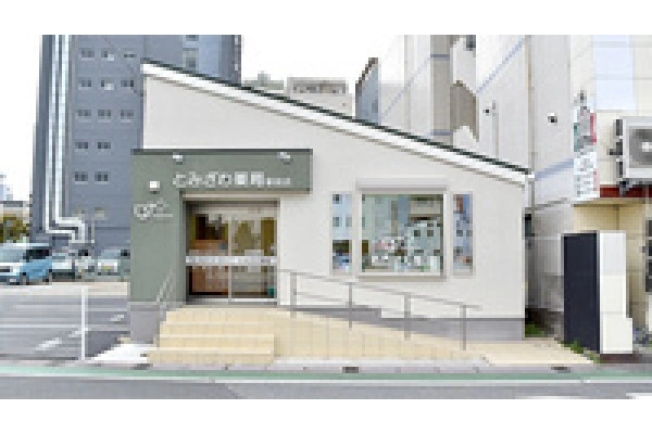 有限会社　アポロドラッグ・千葉県・薬剤師・