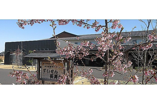 社会福祉法人　瑞泉　特別養護老人ホーム　ずいせん長寿村・埼玉県・看護師・