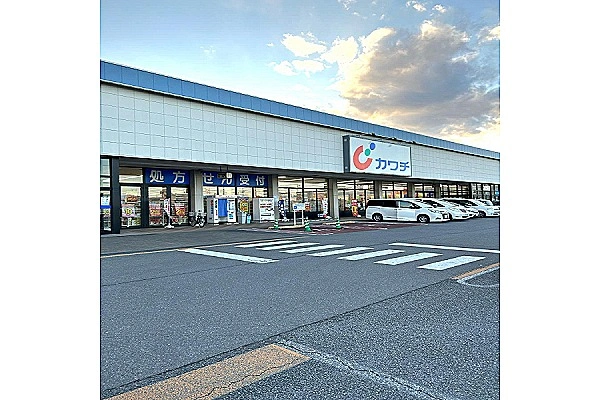 カワチ薬品　真鍋店・茨城県・薬剤師・