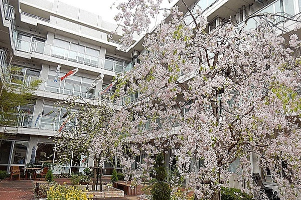 フェリオ多摩川・東京都・看護師・