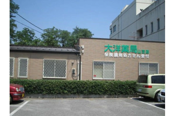 株式会社　大洋メディカルサプライ・千葉県・薬剤師・