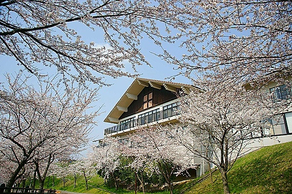 介護老人保健施設ピカソ・石川県・リハビリ職・