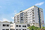株式会社　ウェルネス・コート・和歌山県・ケアマネージャー（居宅介護支援）