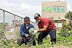 ライフ・ケア株式会社・沖縄県・介護福祉士（有料老人ホーム）