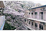 社会福祉法人ぶどうの枝福祉会・兵庫県・看護師（特別養護老人ホーム）