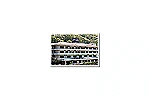 医療法人　ひろせ会　広瀬病院・宮城県・言語聴覚士（療養病棟／ケアミックス型病院）