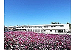 医療法人民善会　アットホーム尚久富岡東・群馬県・看護師（有料老人ホーム）