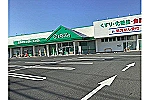 株式会社ザグザグ・岡山県・薬剤師（薬局）