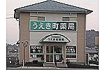 うえき薬局・熊本県・薬剤師（薬局）