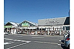 カインズ　梓川店・長野県・薬剤師（カインズ　梓川店）
