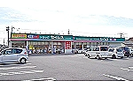株式会社　西日本セイムス　ドラッグセイムス・高知県・薬剤師（薬局）