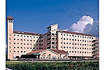 ゆうゆう壱番館　株式会社　デマンド・鳥取県・ケアマネージャー（介護施設）