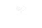 株式会社ｓｅｅｄ・大阪府・サービス管理責任者（福祉施設）