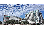 医療法人　鉄蕉会　亀田総合病院・千葉県・看護師（内視鏡／総合病院）