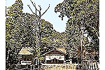 社会福祉法人　五十鈴会・京都府・介護職（デイサービス）
