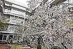 フェリオ多摩川・東京都・看護師（有料老人ホーム）