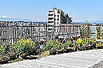 玉川すばる・東京都・介護職（介護老人保健施設）
