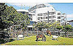 老人保健施設アウン・愛知県・看護師（介護老人保健施設）