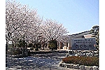 社会福祉法人　玉寿会　特別養護老人ホーム　さくら苑・熊本県・歯科衛生士（特別養護老人ホーム）