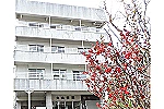 医療法人社団　丸山病院・兵庫県・看護師（病院）