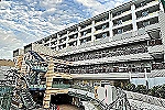 特別養護老人ホームふたば・兵庫県・看護師（特別養護老人ホーム）