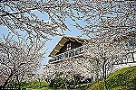 介護老人保健施設ピカソ・石川県・リハビリ職（介護老人保健施設）