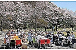 医療法人社団　福寿会　コスモス苑・岐阜県・介護職（介護施設）